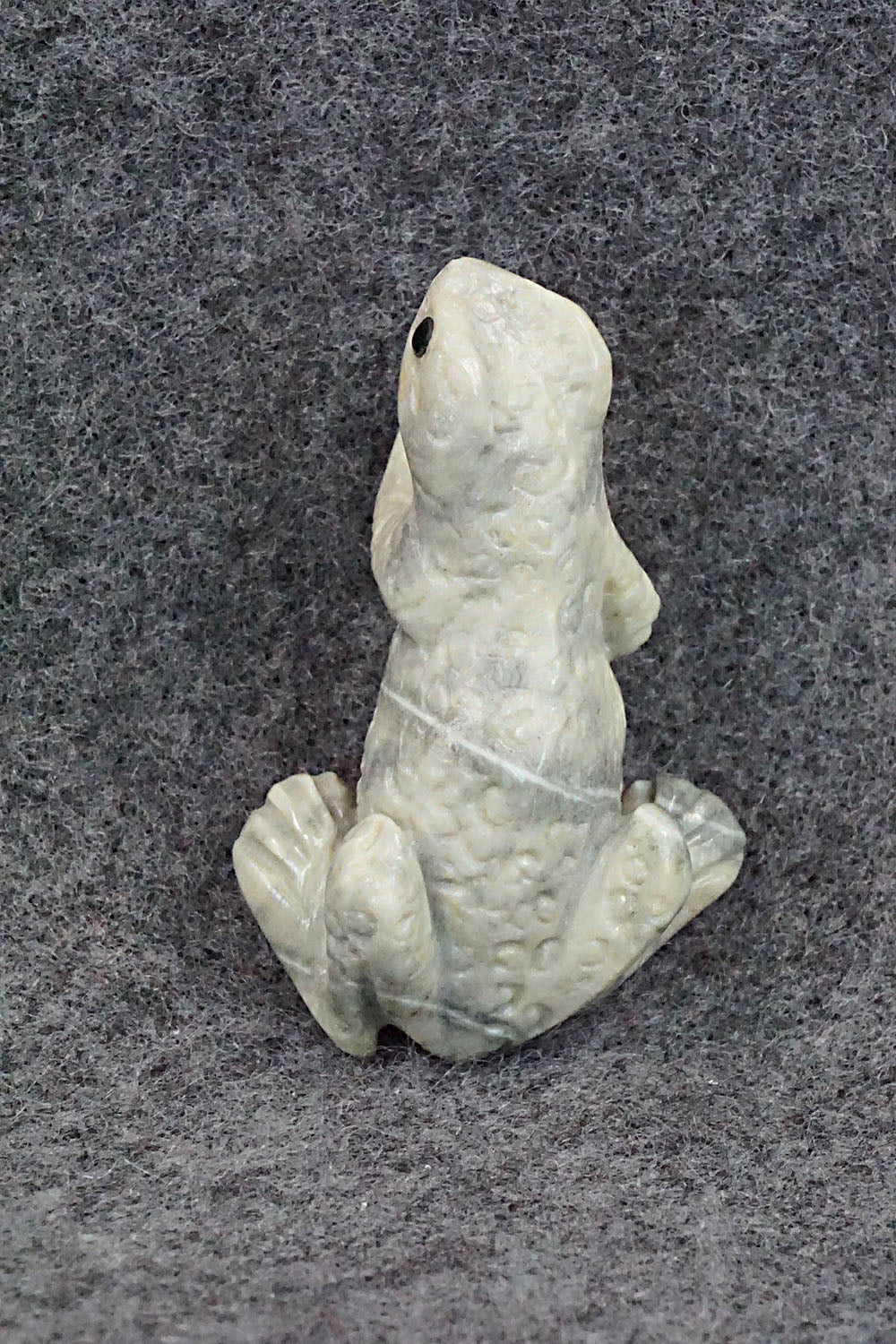 Frog Zuni Fetish Carving - Wilfred Cheama