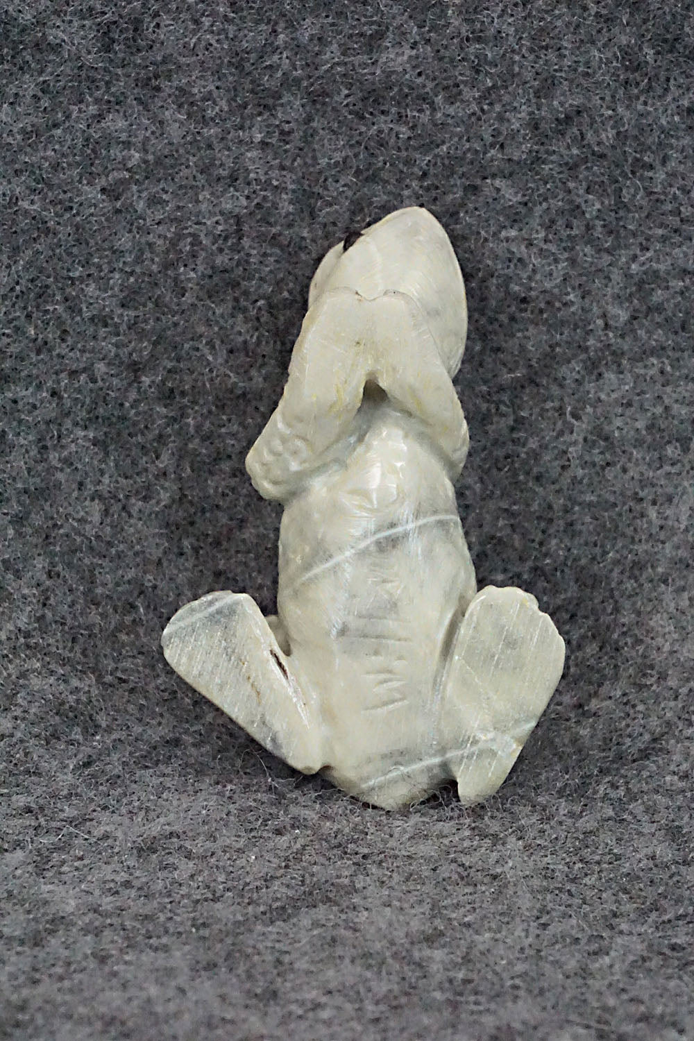 Frog Zuni Fetish Carving - Wilfred Cheama