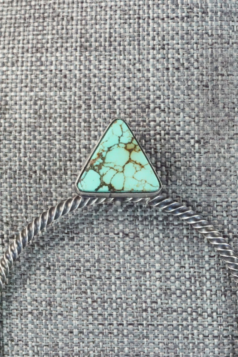 Turquoise & Sterling Silver Earrings - Verley Betone