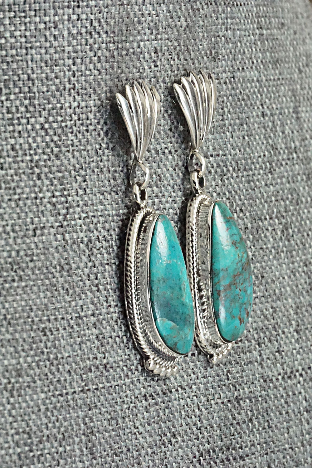 Turquoise and Sterling Silver Earrings - Sharon McCarthy