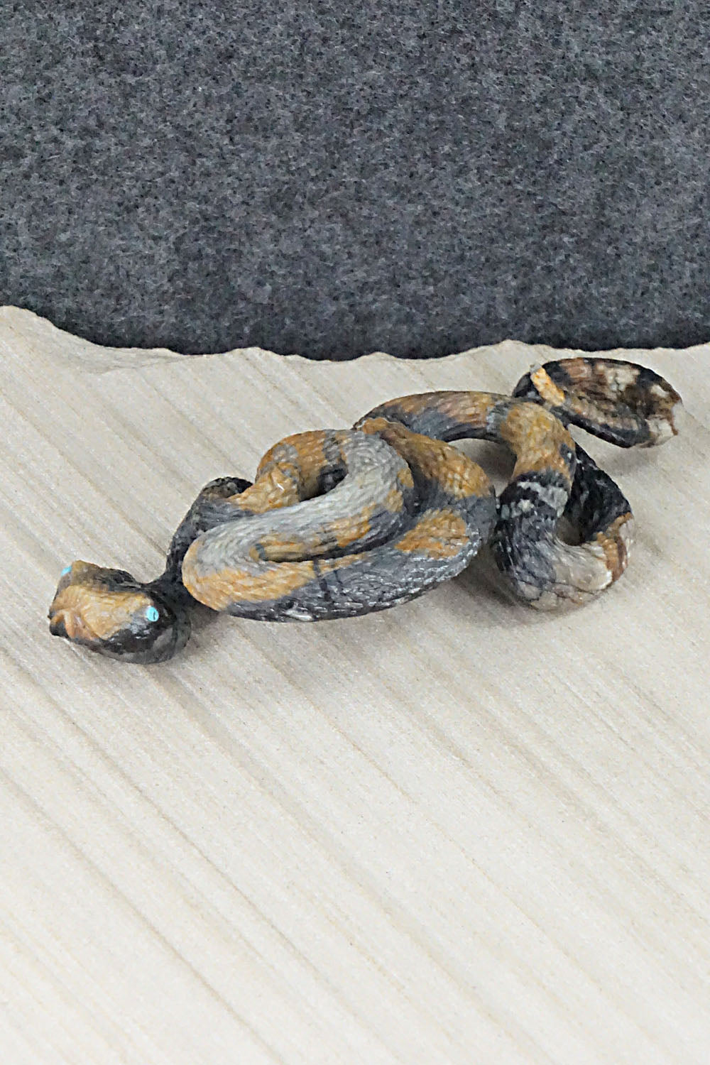 Rattlesnake Zuni Fetish Carving - Travis Lasiloo