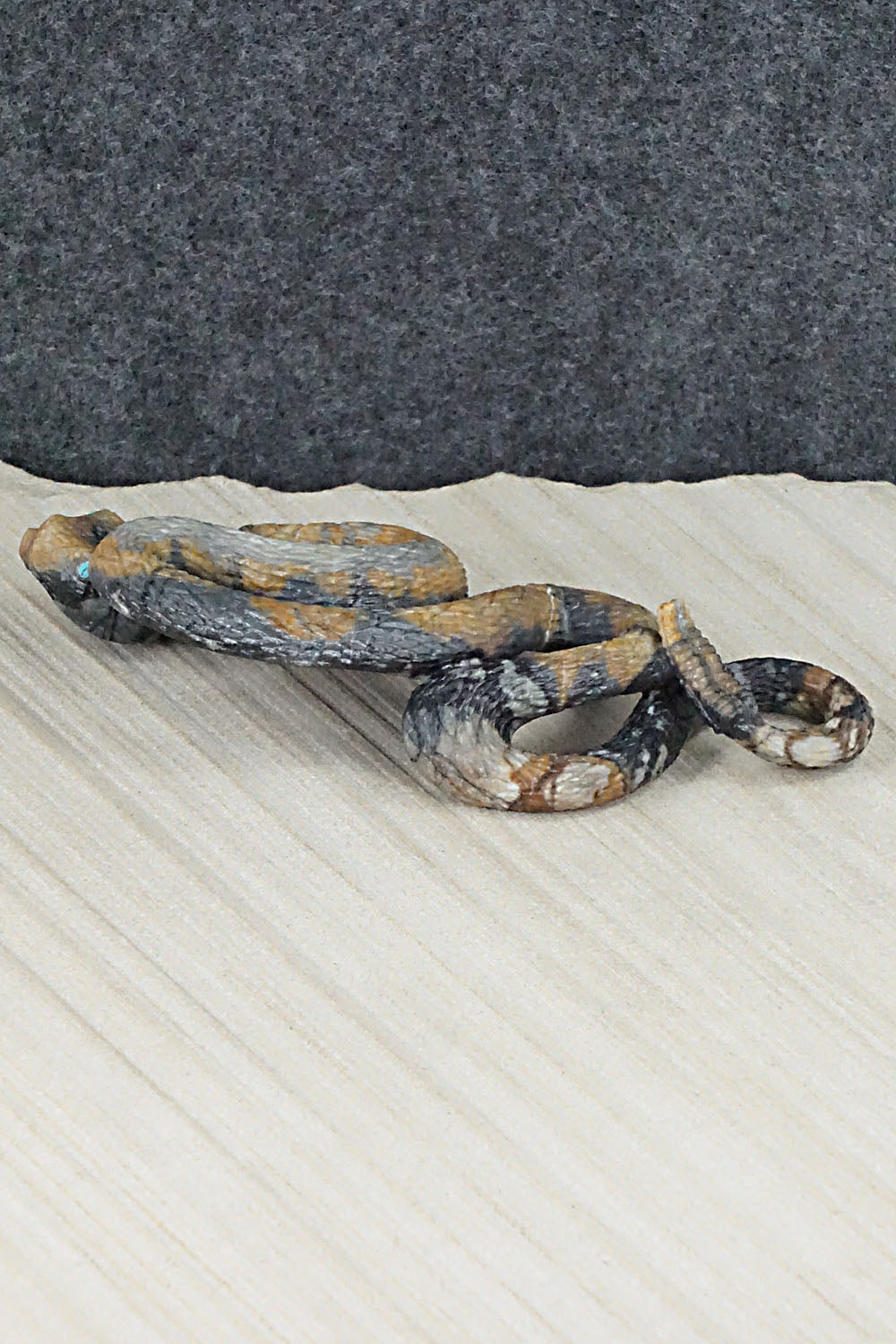 Rattlesnake Zuni Fetish Carving - Travis Lasiloo