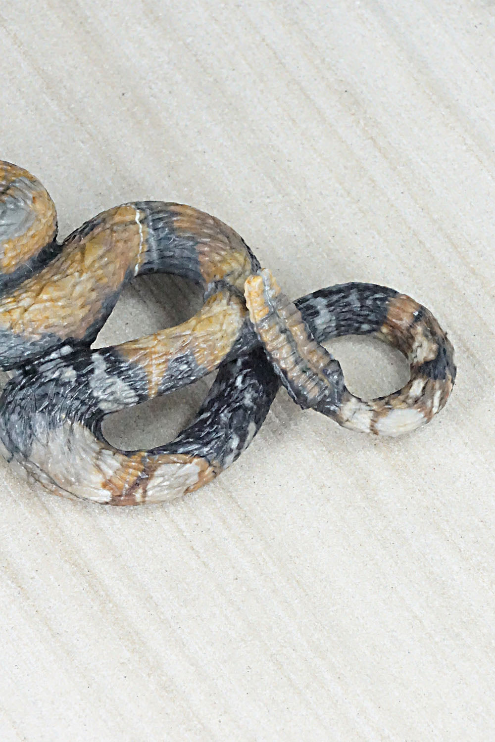 Rattlesnake Zuni Fetish Carving - Travis Lasiloo