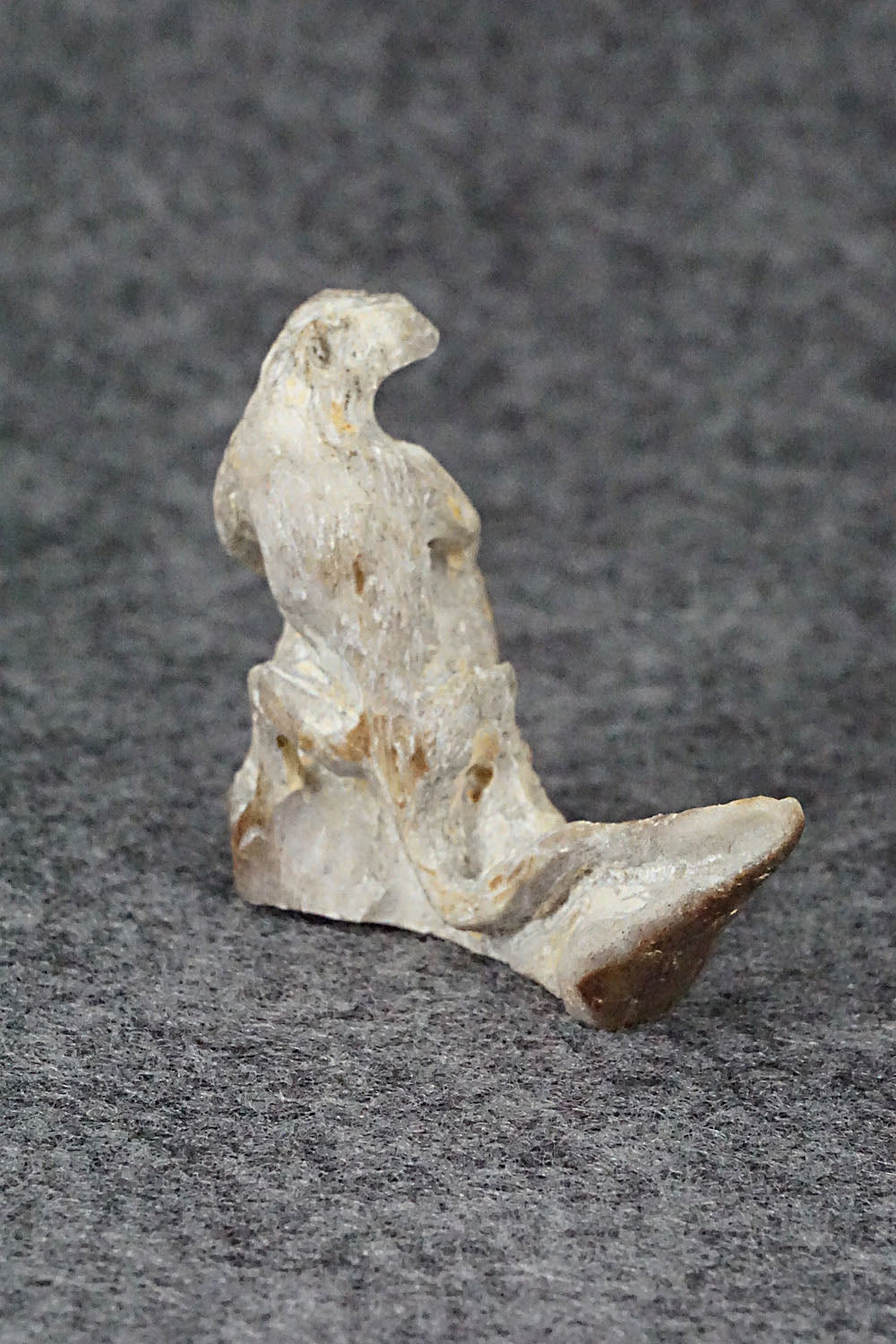 Lizard Zuni Fetish Carving - Lewis Malie Jr.