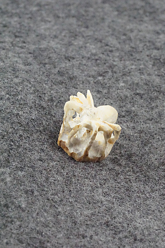 Spider Zuni Fetish Carving - Lewis Malie Jr.