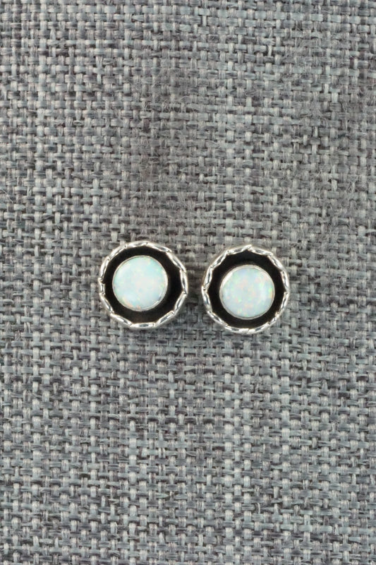 Opalite & Sterling Silver Earrings - Corina Leekity