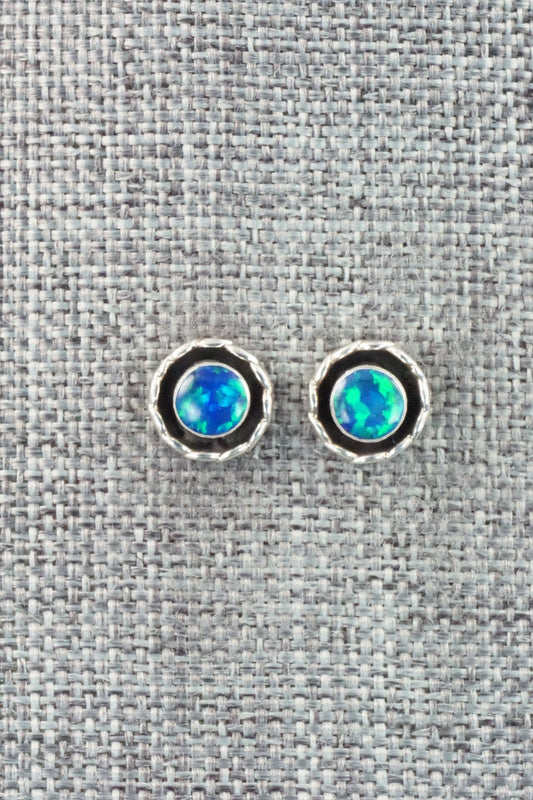 Opalite & Sterling Silver Earrings - Corina Leekity