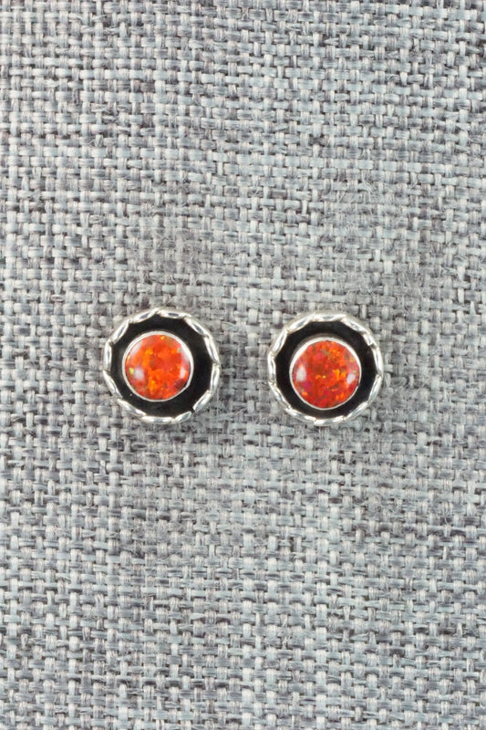 Opalite & Sterling Silver Earrings - Corina Leekity