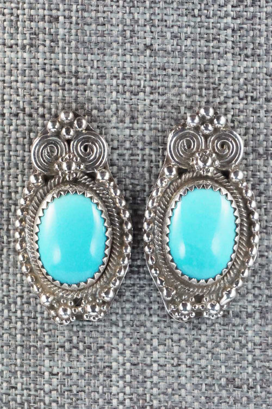 Turquoise & Sterling Silver Earrings - Circle J. W.