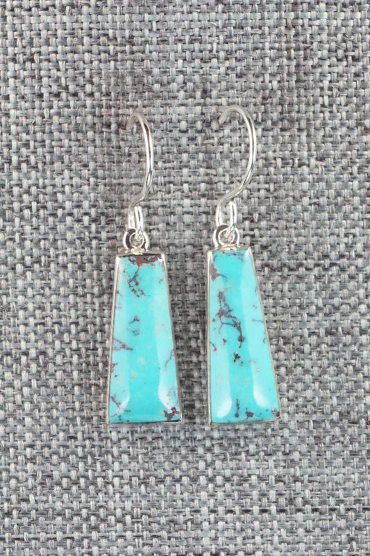 Turquoise & Sterling Silver Earrings - Cathy Webster