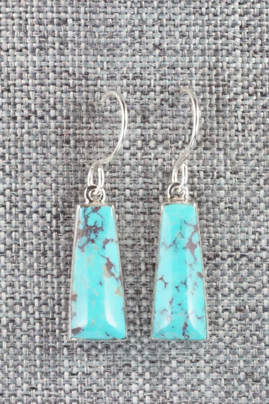 Turquoise & Sterling Silver Earrings - Cathy Webster
