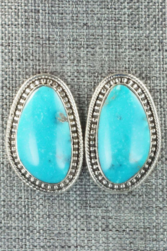 Turquoise & Sterling Silver Earrings - Mark Barney