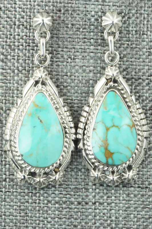 Turquoise & Sterling Silver Earrings - Annie Spencer