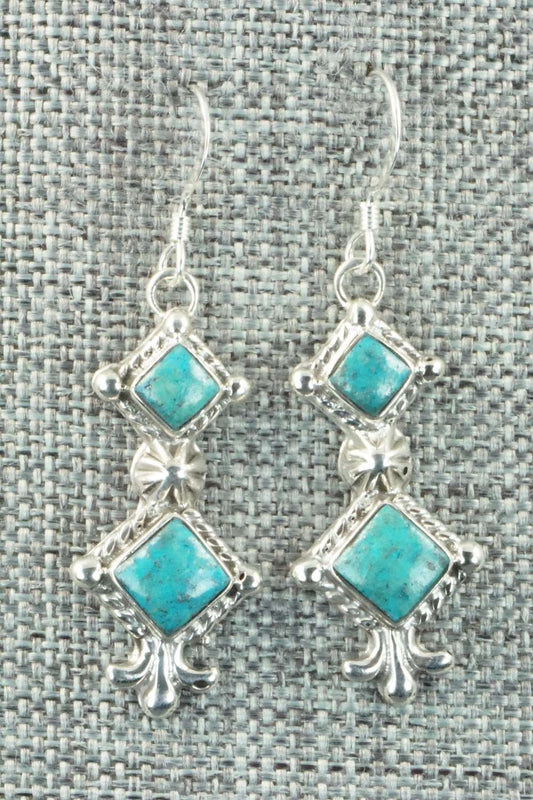Turquoise & Sterling Silver Earrings - Sadie Jim