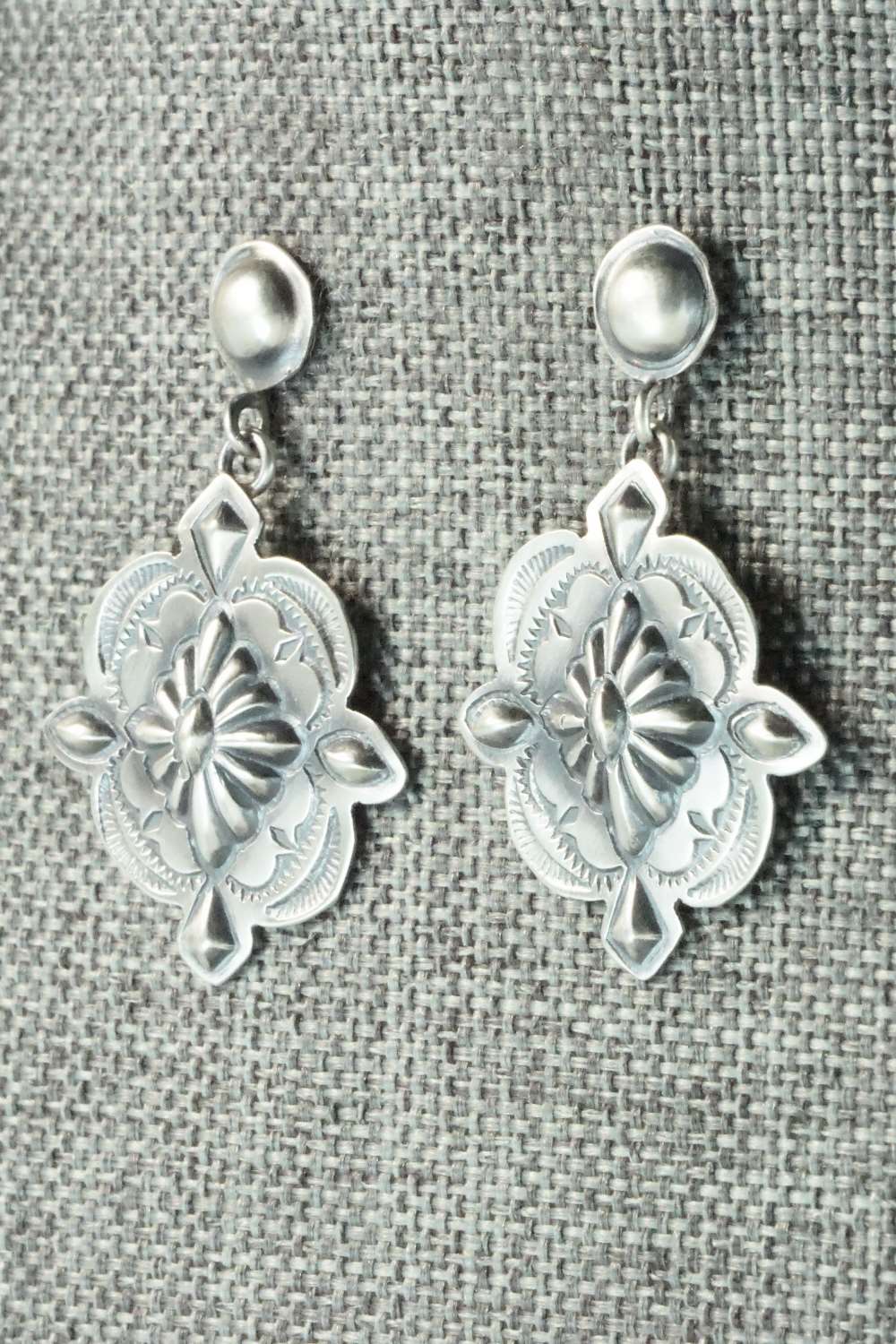 Sterling Silver Earrings - Terry Charlie