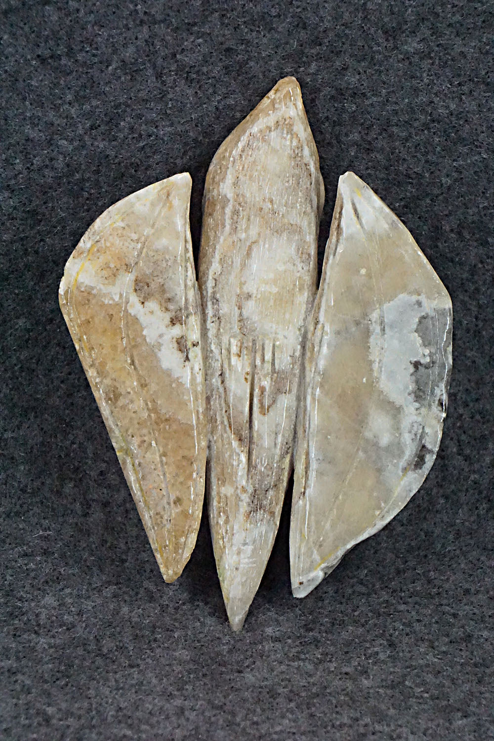 Flying Fox Zuni Fetish Carving - Jonas Hustito