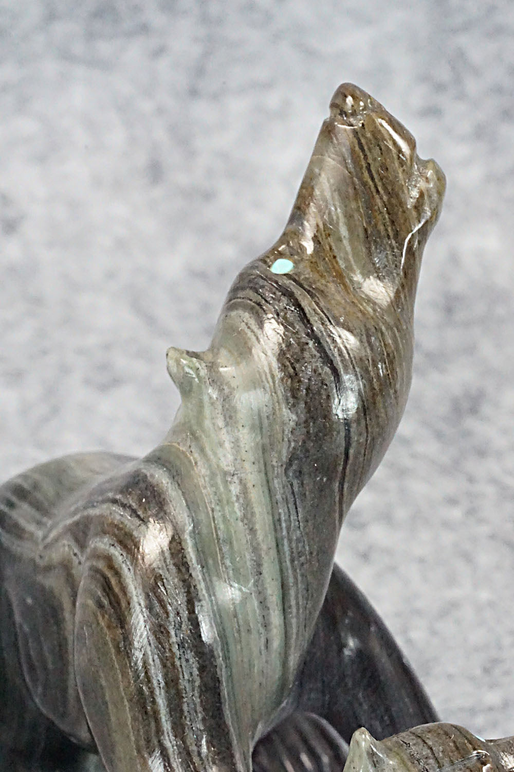 Bear Zuni Fetish Carving - Albert Eustace
