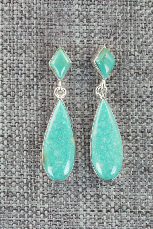 Turquoise & Sterling Silver Earrings - Cathy Webster