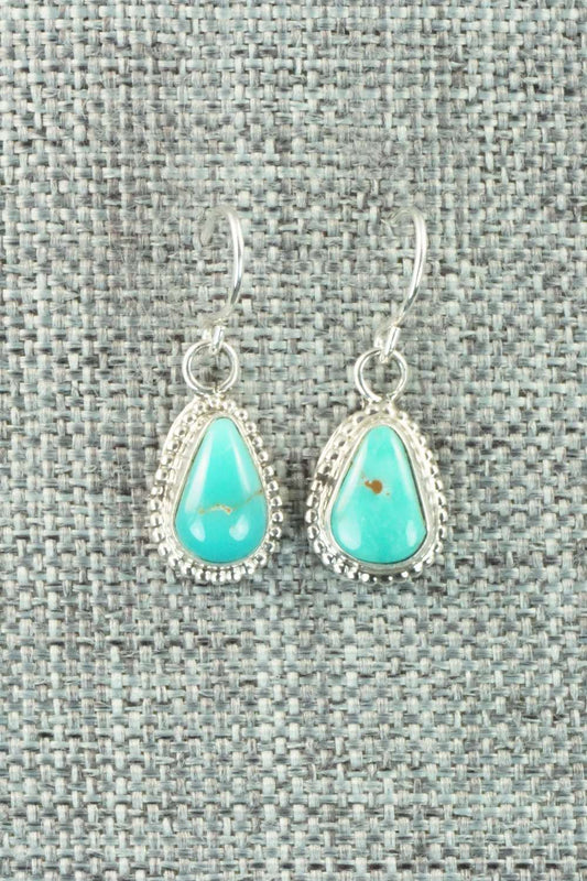 Turquoise & Sterling Silver Earrings - Jan Mariano
