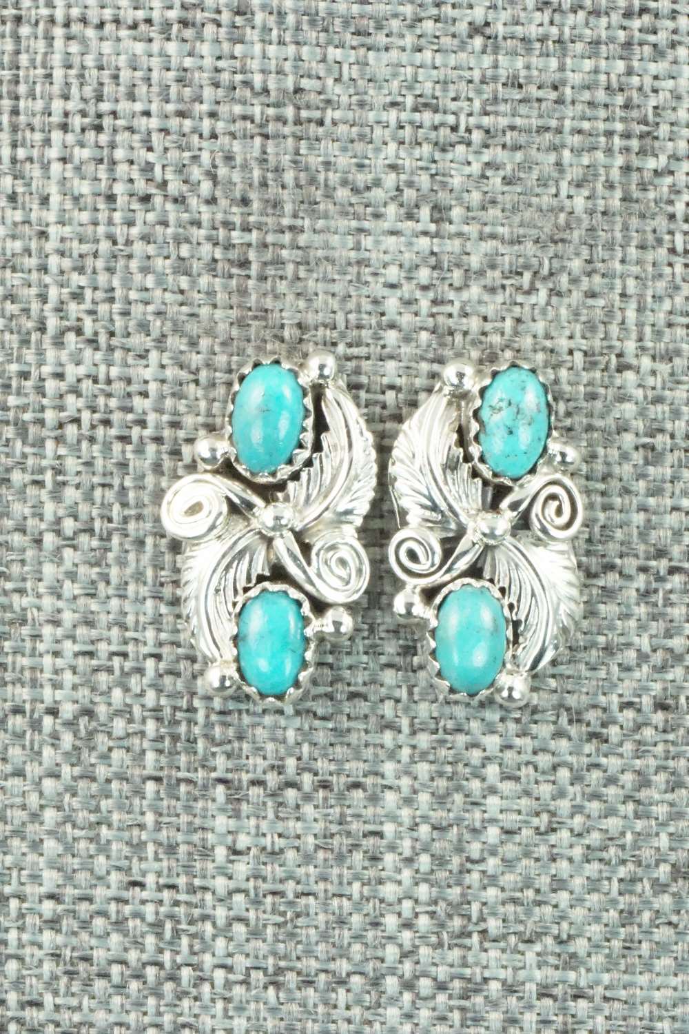 Turquoise & Sterling Silver Earrings - Annie Spencer