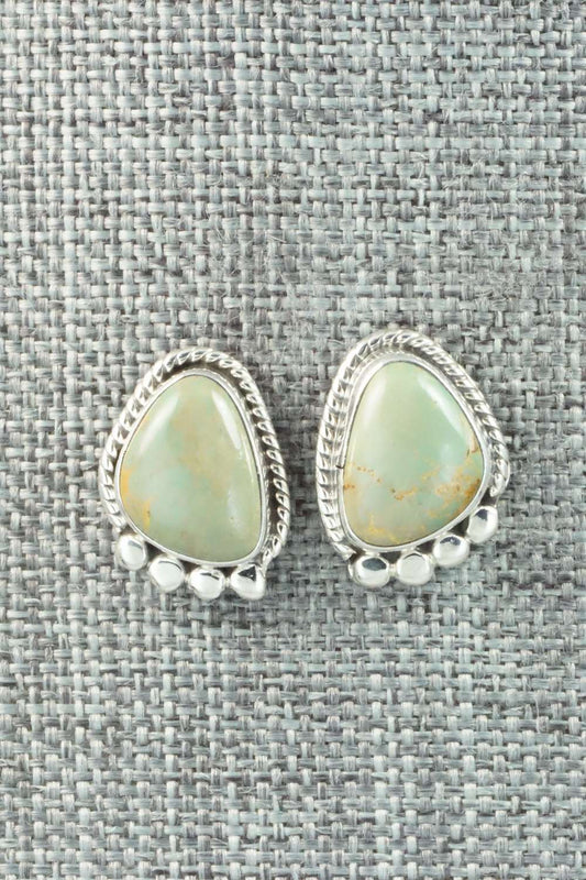 Turquoise & Sterling Silver Earrings - Sharon McCarthy
