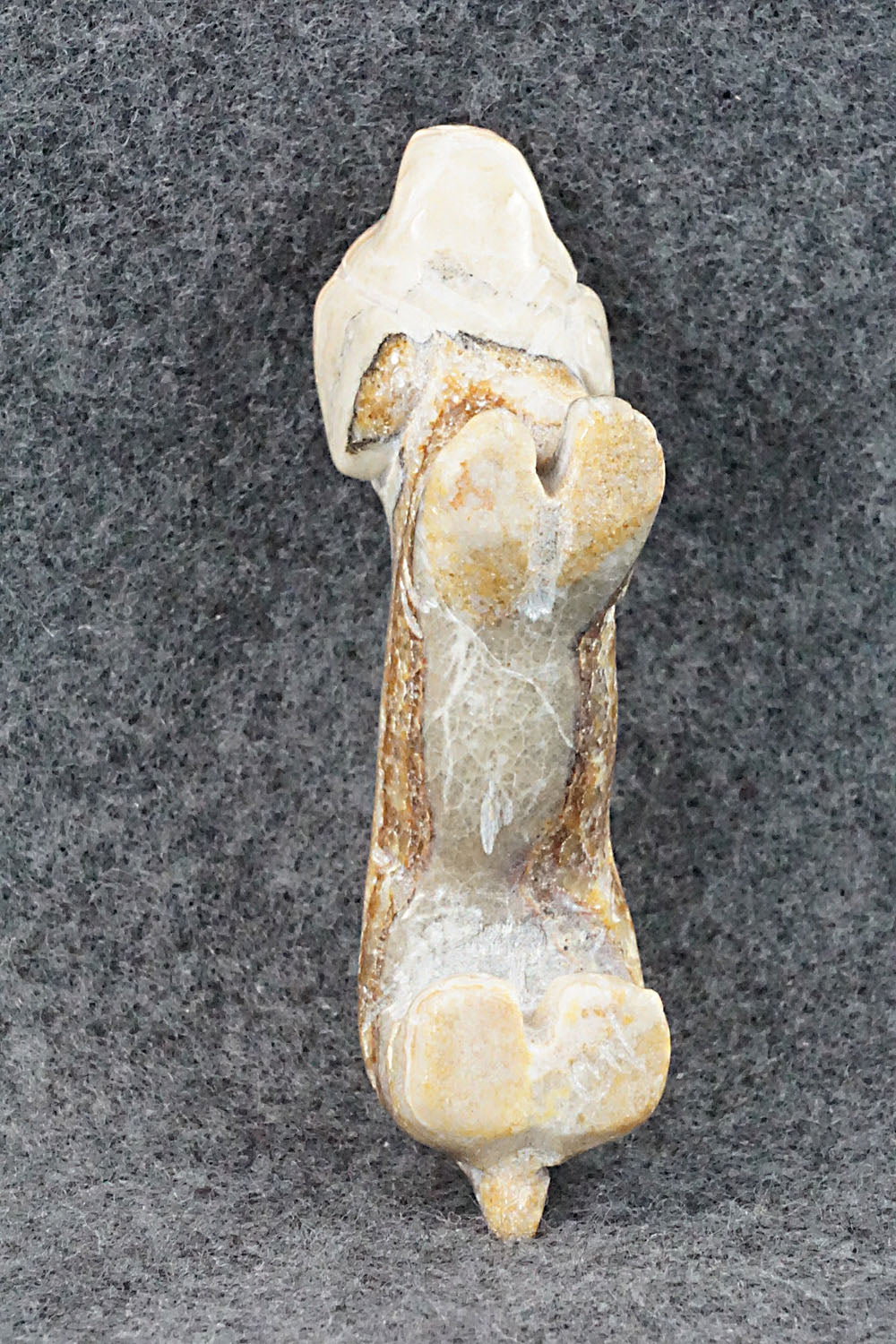 Dog Zuni Fetish Carving - Cody Nastacio