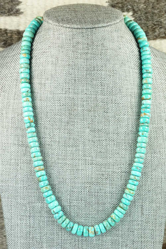 Turquoise & Sterling Silver Necklace - Doreen Jake