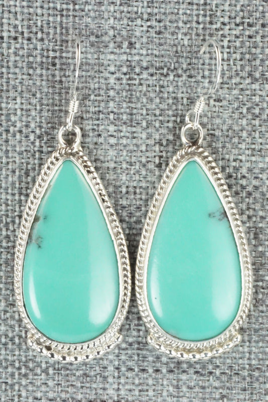 Turquoise & Sterling Silver Earrings - Sharon McCarthy