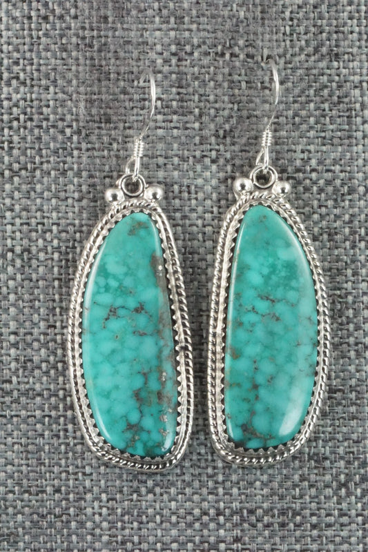 Turquoise & Sterling Silver Earrings - Sharon McCarthy