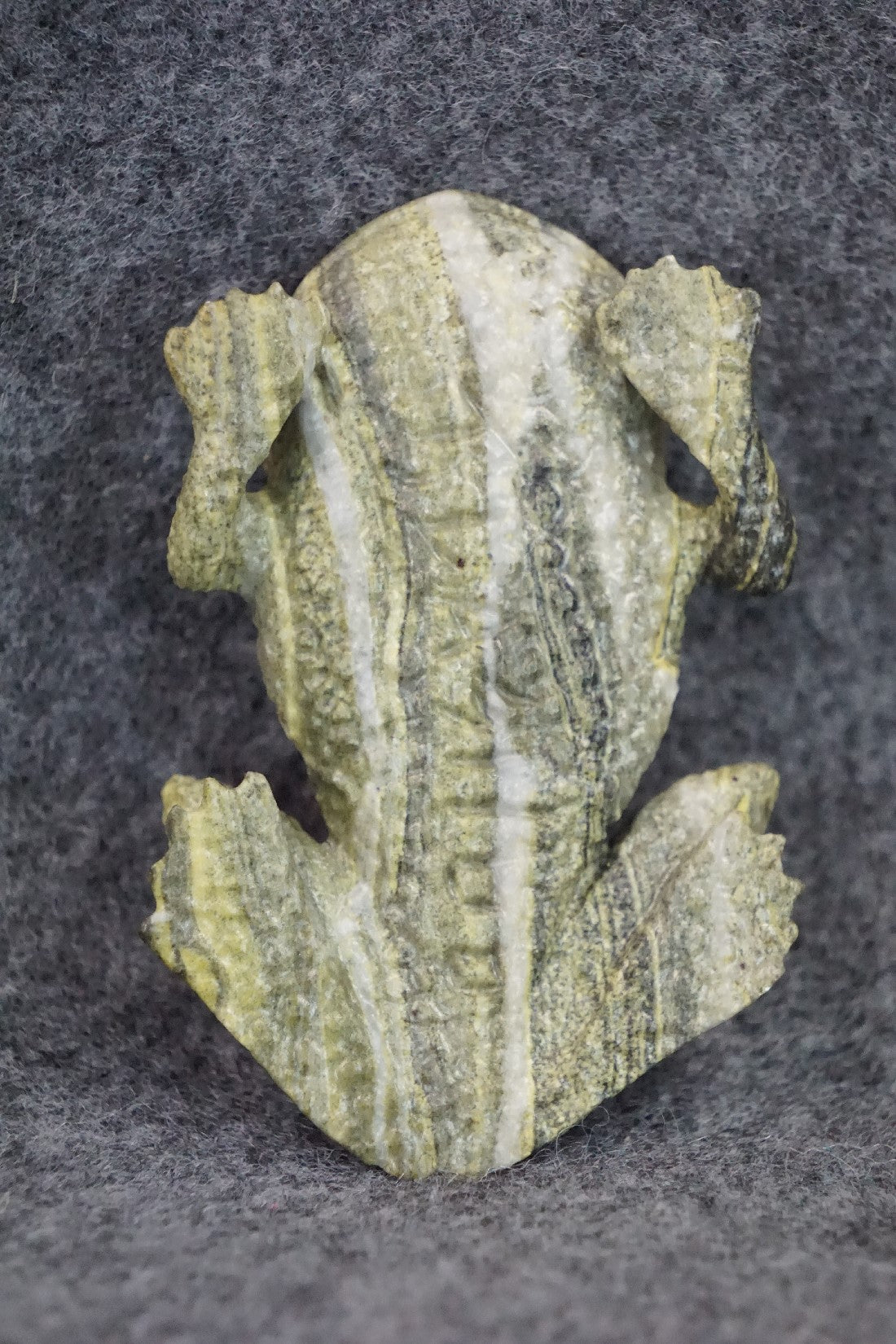 Frog Zuni Fetish Carving - Travis Lasiloo