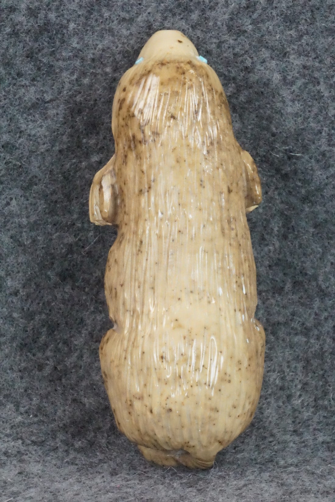Mole Zuni Fetish Carving - Derrick Kaamasee