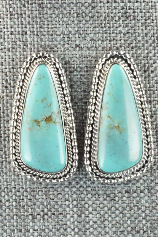 Turquoise and Sterling Silver Earrings - Annissa Martinez