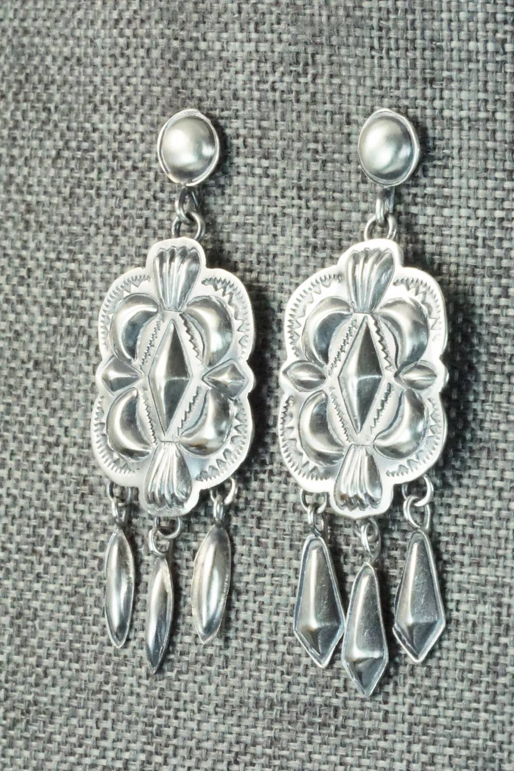 Sterling Silver Earrings - Terry Charlie