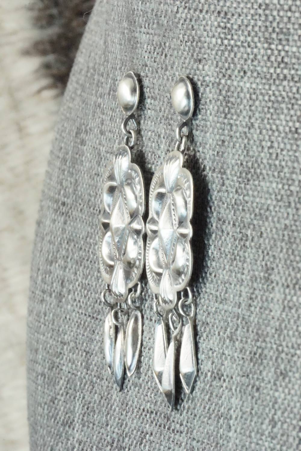 Sterling Silver Earrings - Terry Charlie