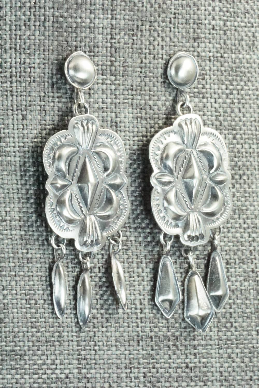 Sterling Silver Earrings - Terry Charlie