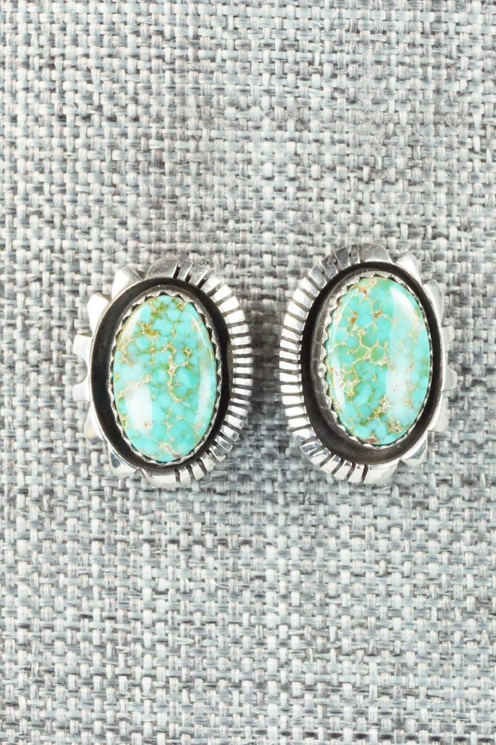 Turquoise and Sterling Silver Earrings - Toby Henderson