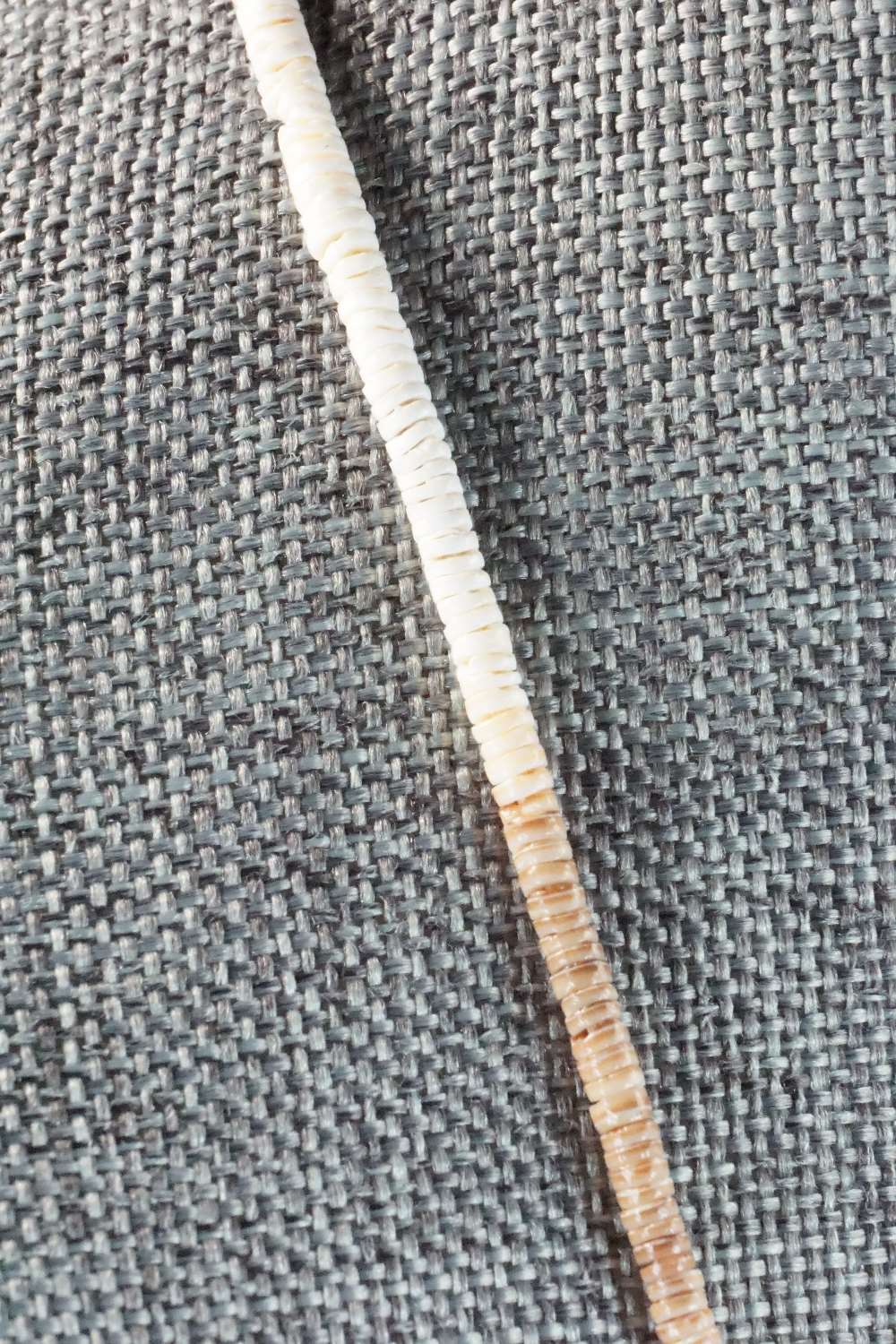 Shell & Sterling Silver Necklace - Ramona Bird