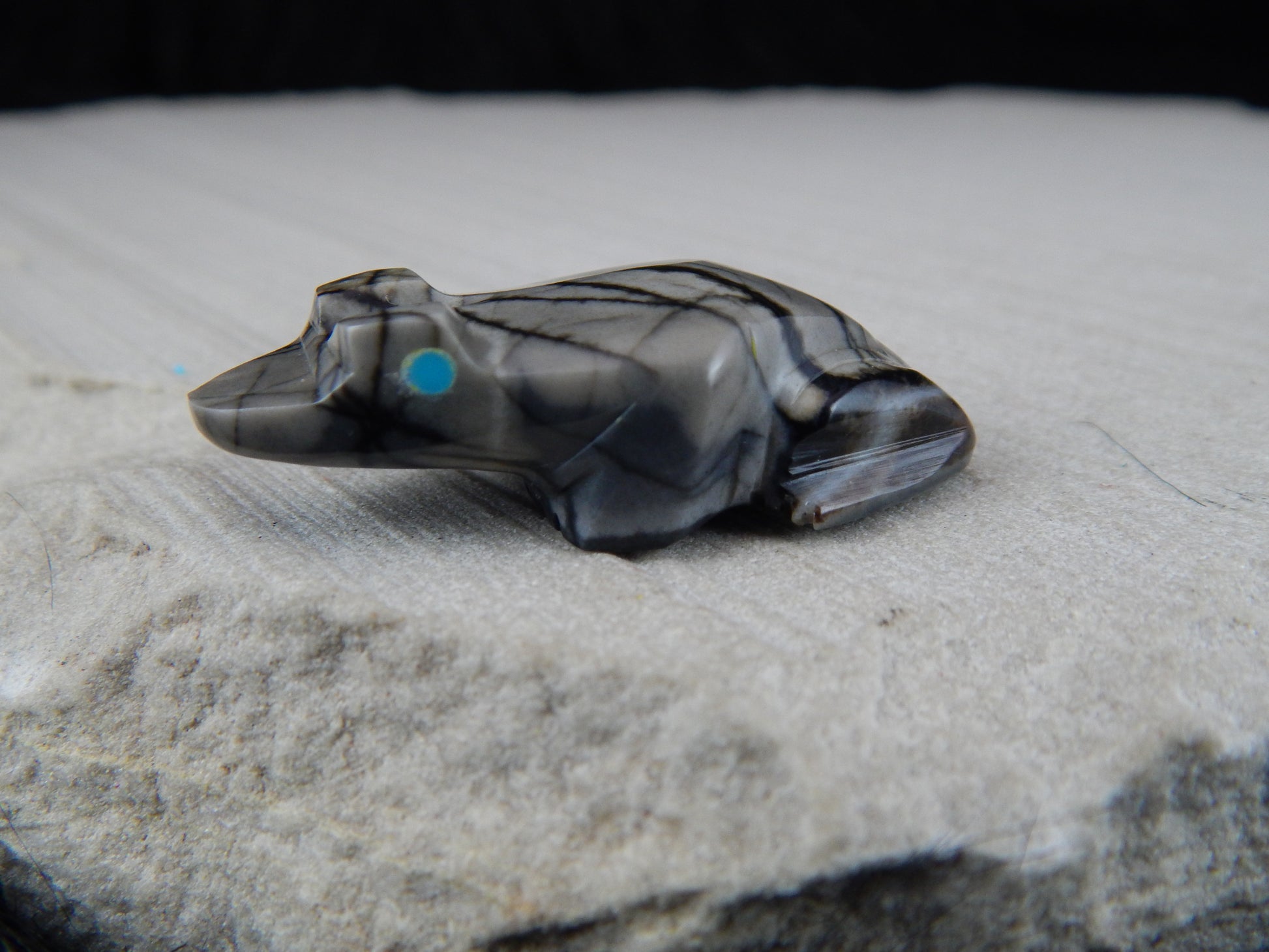 Frog Zuni Fetish Carving - Elvert Lamy - High Lonesome Trading
