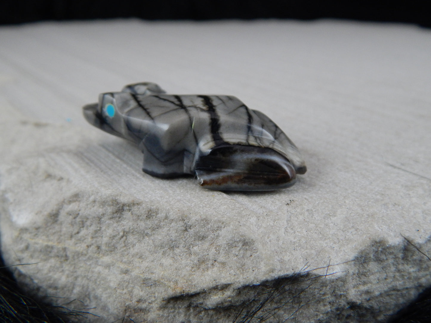 Frog Zuni Fetish Carving - Elvert Lamy - High Lonesome Trading