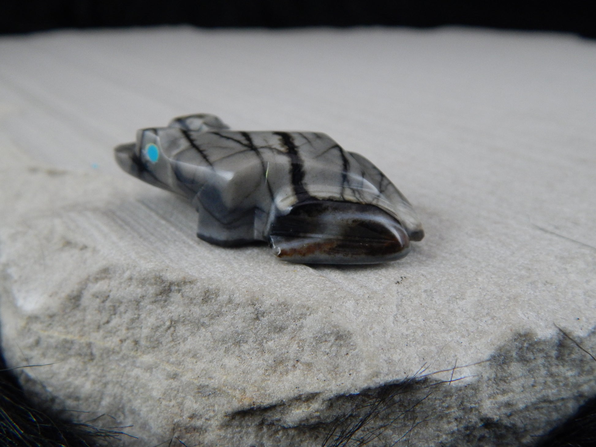 Frog Zuni Fetish Carving - Elvert Lamy - High Lonesome Trading