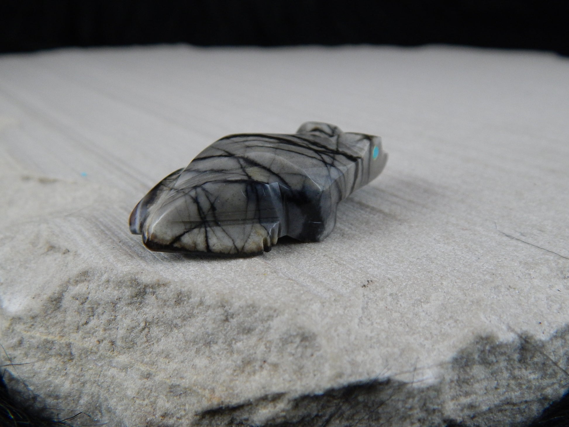 Frog Zuni Fetish Carving - Elvert Lamy - High Lonesome Trading