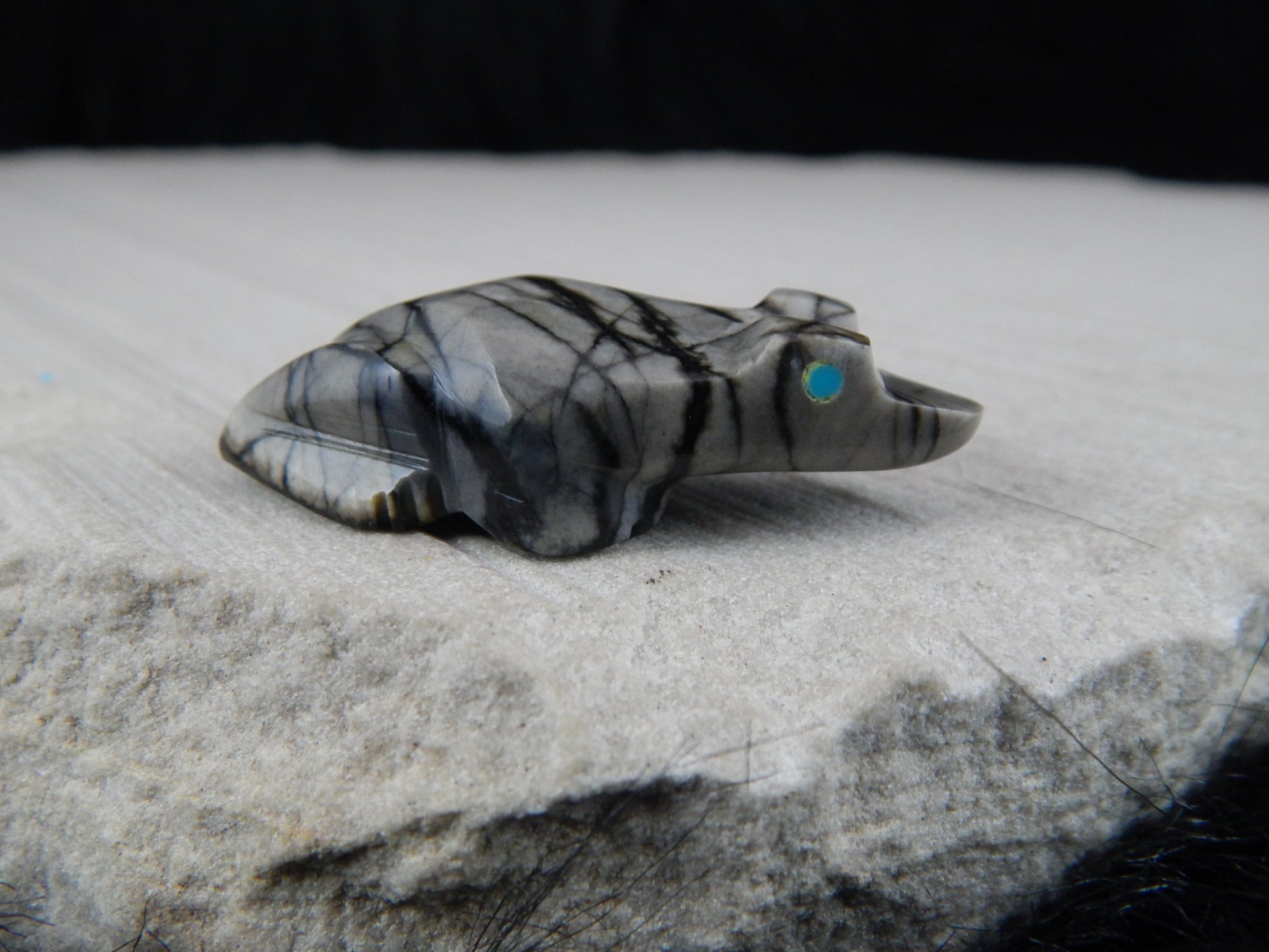 Frog Zuni Fetish Carving - Elvert Lamy - High Lonesome Trading