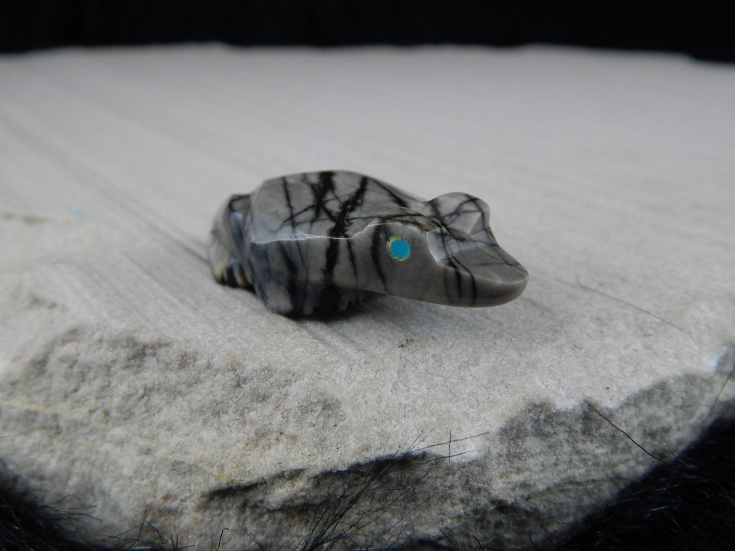 Frog Zuni Fetish Carving - Elvert Lamy - High Lonesome Trading
