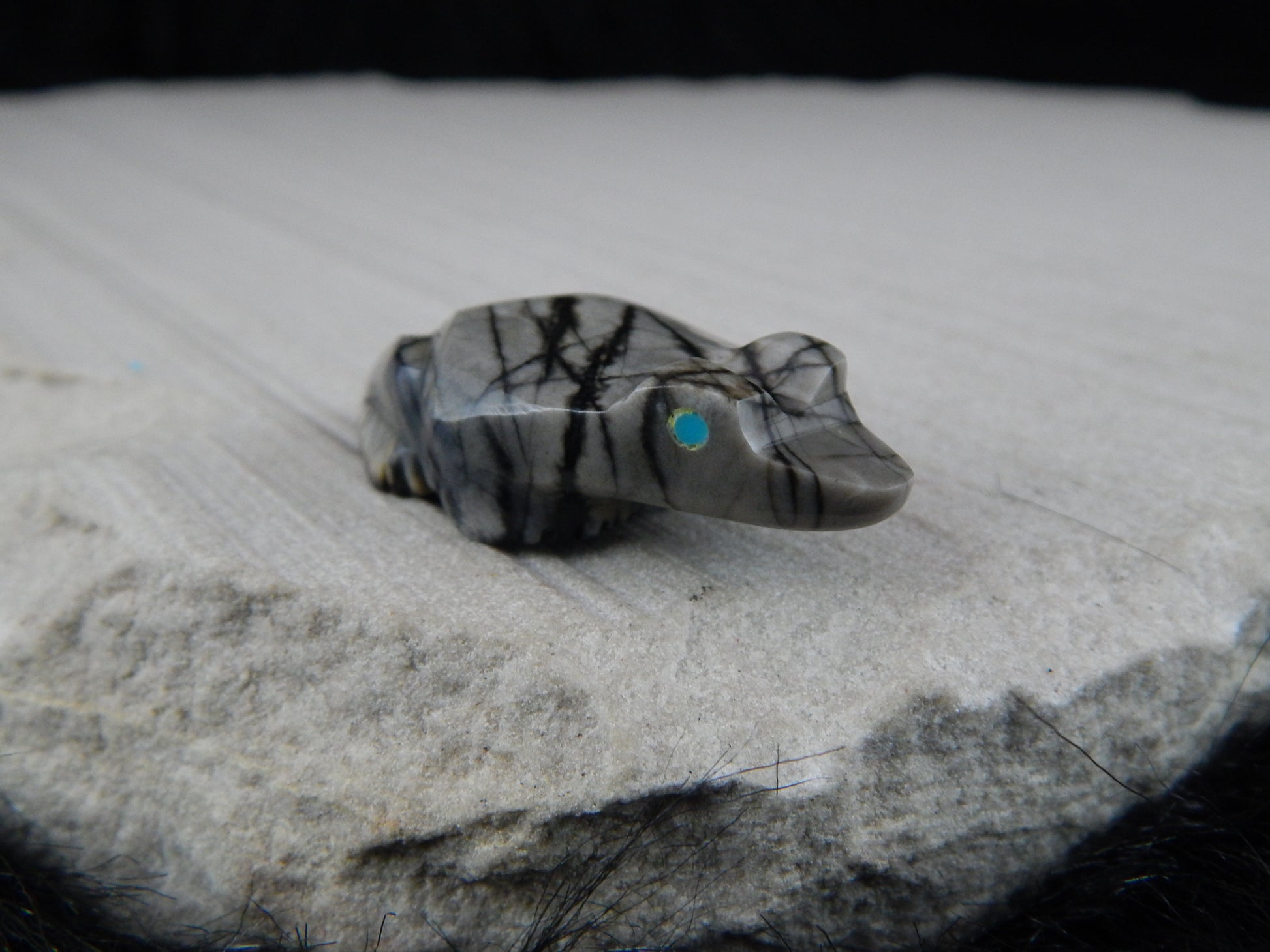 Frog Zuni Fetish Carving - Elvert Lamy - High Lonesome Trading