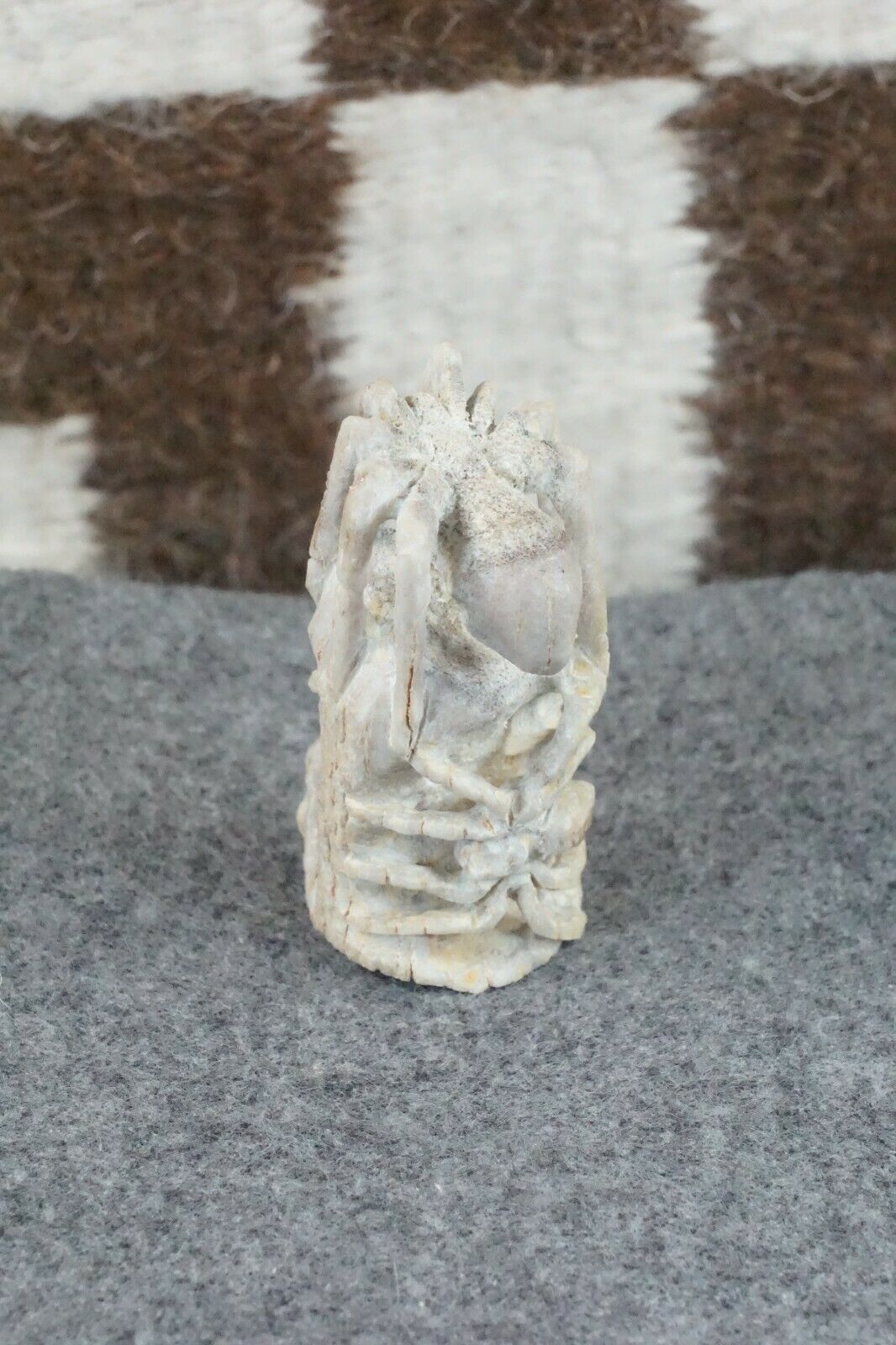 Spider Zuni Fetish Carving - Lewis Malie Jr.