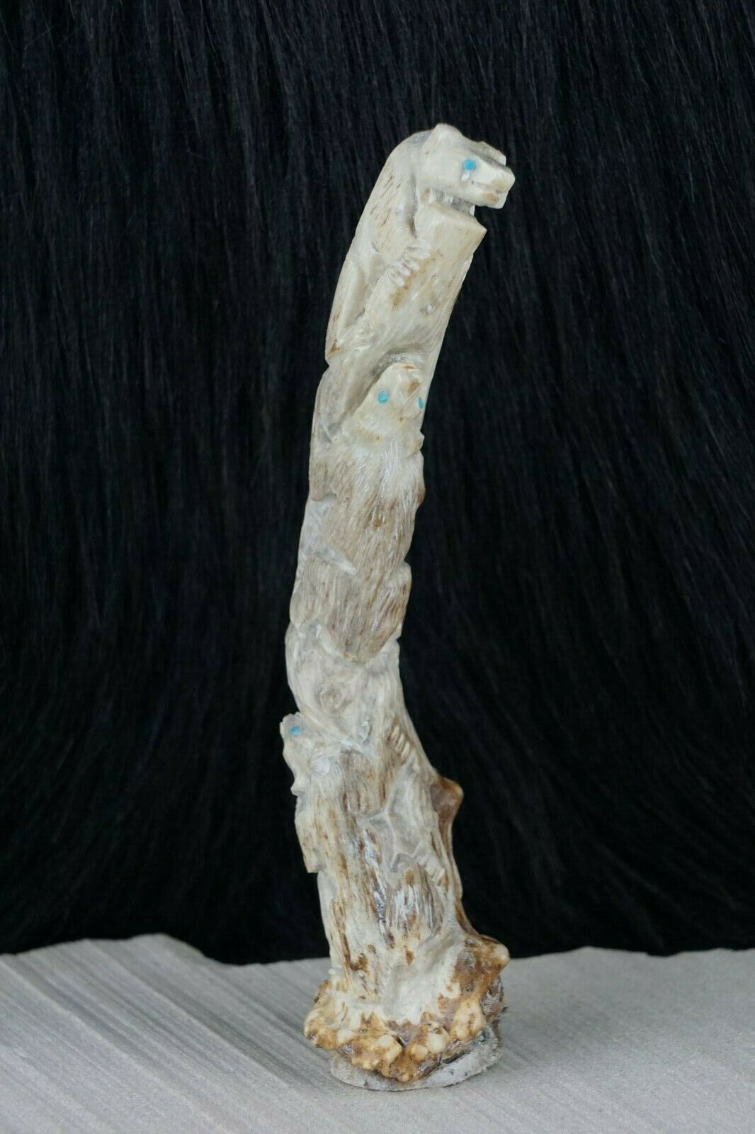 Bear Zuni Fetish Carving - Derrick Kaamasee - High Lonesome Trading