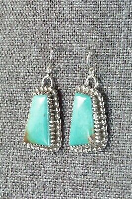Turquoise & Sterling Silver Earrings - Alvin Joe