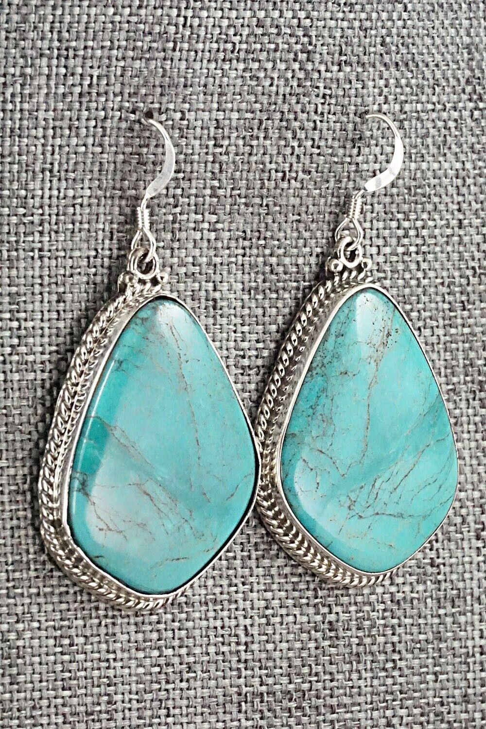Turquoise & Sterling Silver Earrings - Annie Spencer
