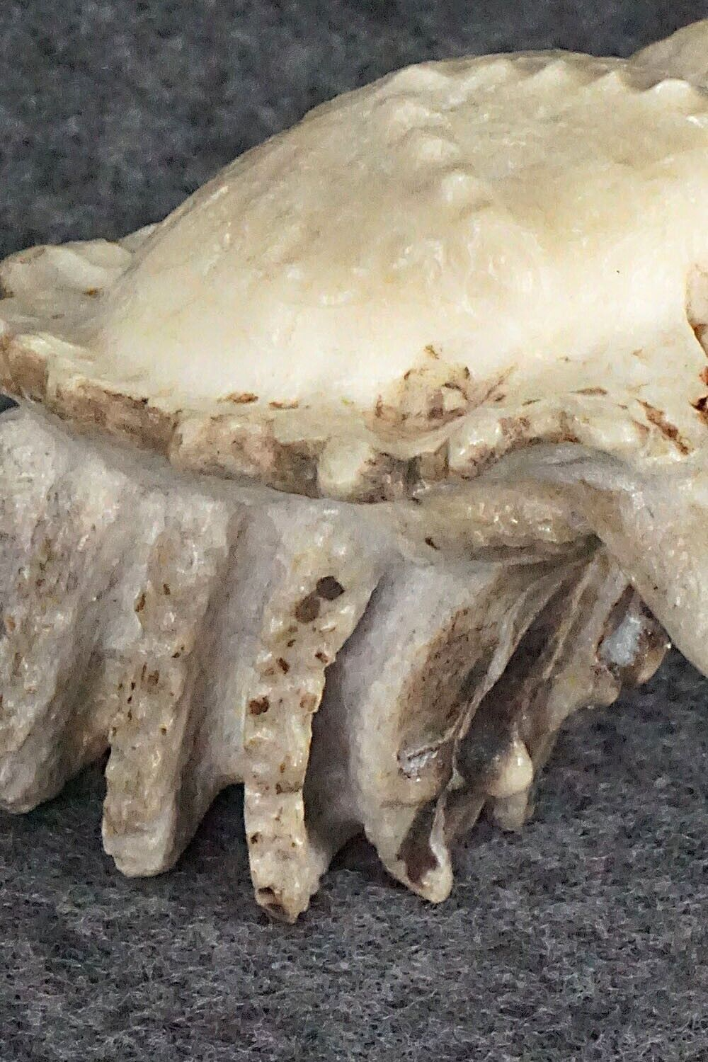 Crab Zuni Fetish Carving - Maxx Laate
