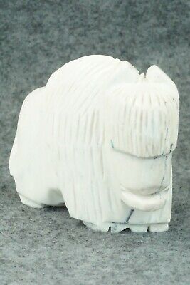 Buffalo Zuni Fetish Carving - Gilbert Lonjose